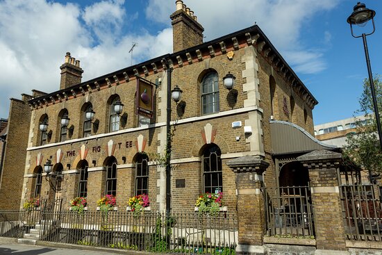 front of the fig tree front of the fig tree